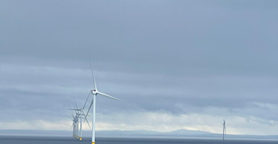 Renewable Energy